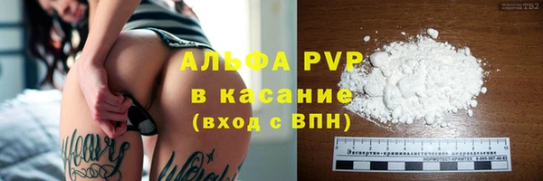 СК Липки