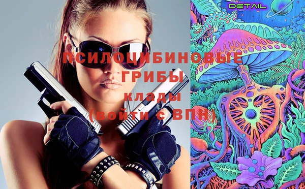 СК Липки