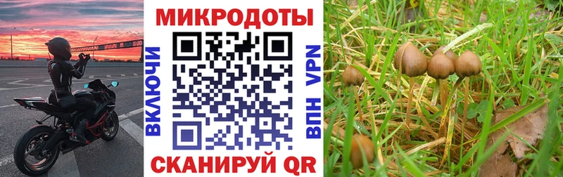 Псилоцибиновые грибы прущие грибы Великий Новгород