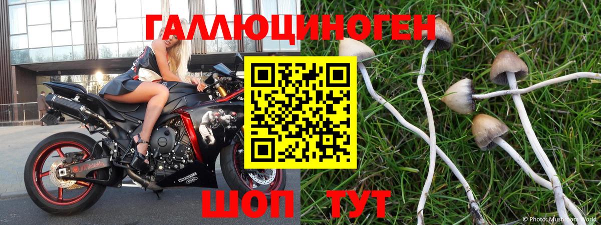 Галлюциногенные грибы мухоморы  Галлюциногенные грибы Psilocybe  Великий Новгород  Вход с VPN 