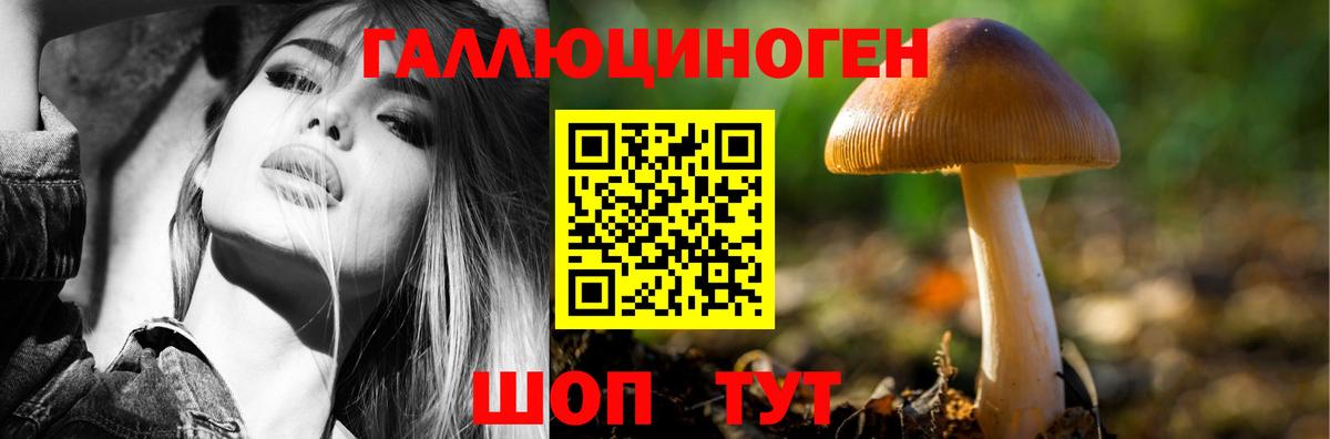 Галлюциногенные грибы MAGIC MUSHROOMS Великий Новгород