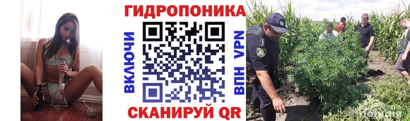 купить наркоту Великий Новгород Бошки марихуана OG Kush